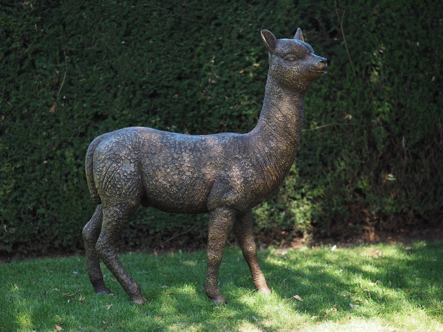 Bronzefigur Alpaka Kamel PAKO