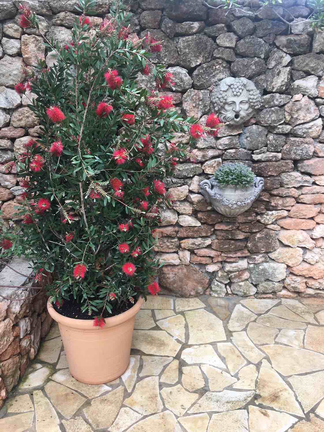 Ibiza: Wasserspeier BACCHUS wässert das Wandpflanzgefäß FAUNUS