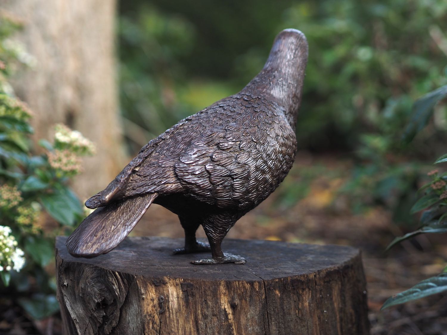 Bronzefigur Vogel Taube AVALON