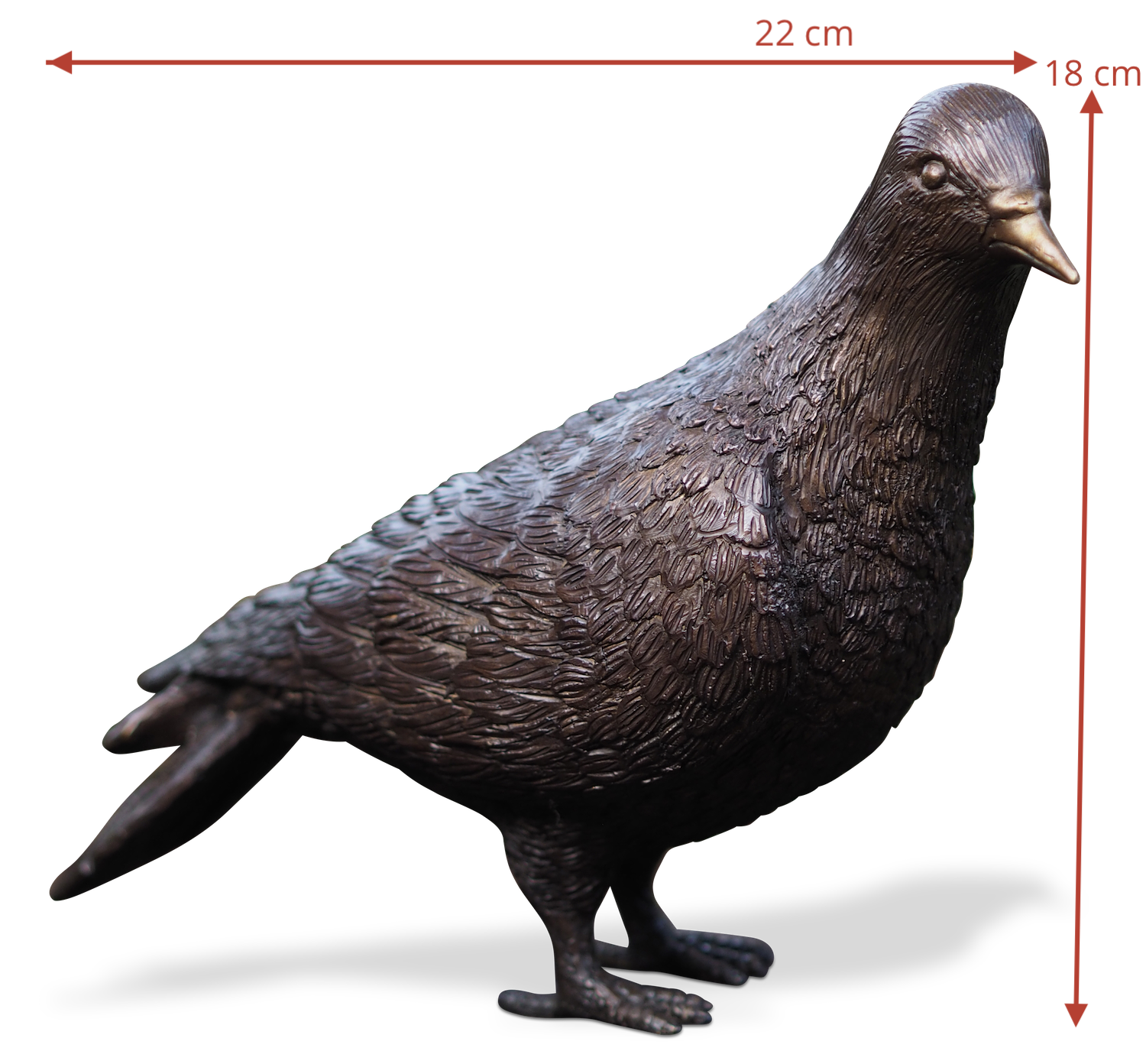 Bronzefigur Vogel Taube AVALON