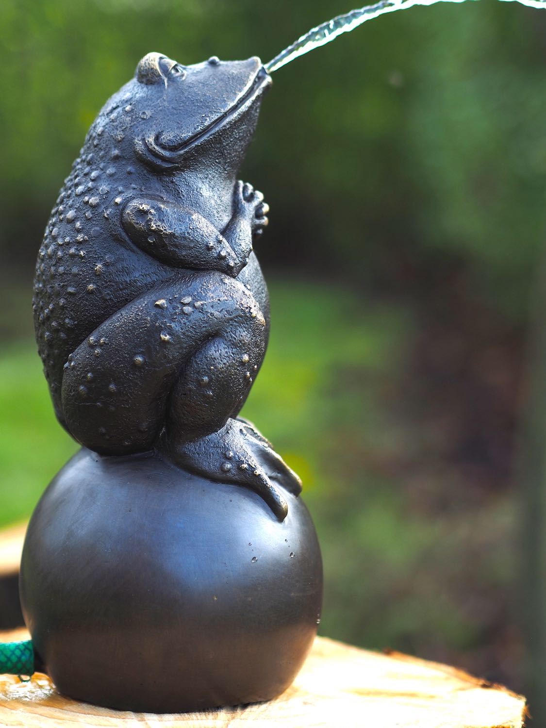 Bronzewasserspeier Kröte KUGEL