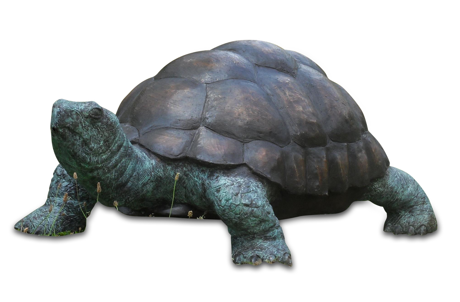 Bronzewasserspeier Schildkröte GALAPAGOS